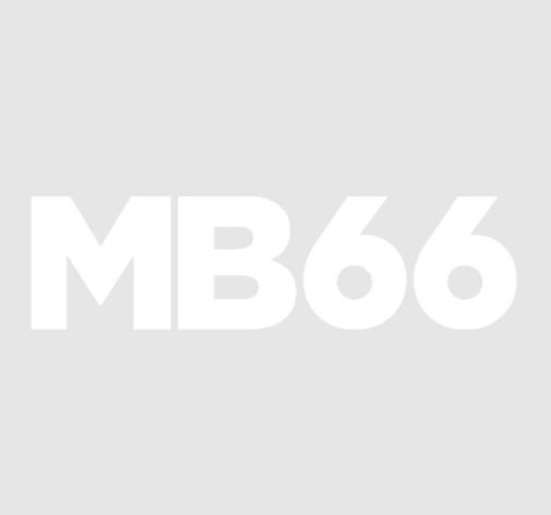 Anexo logo mb66.JPG