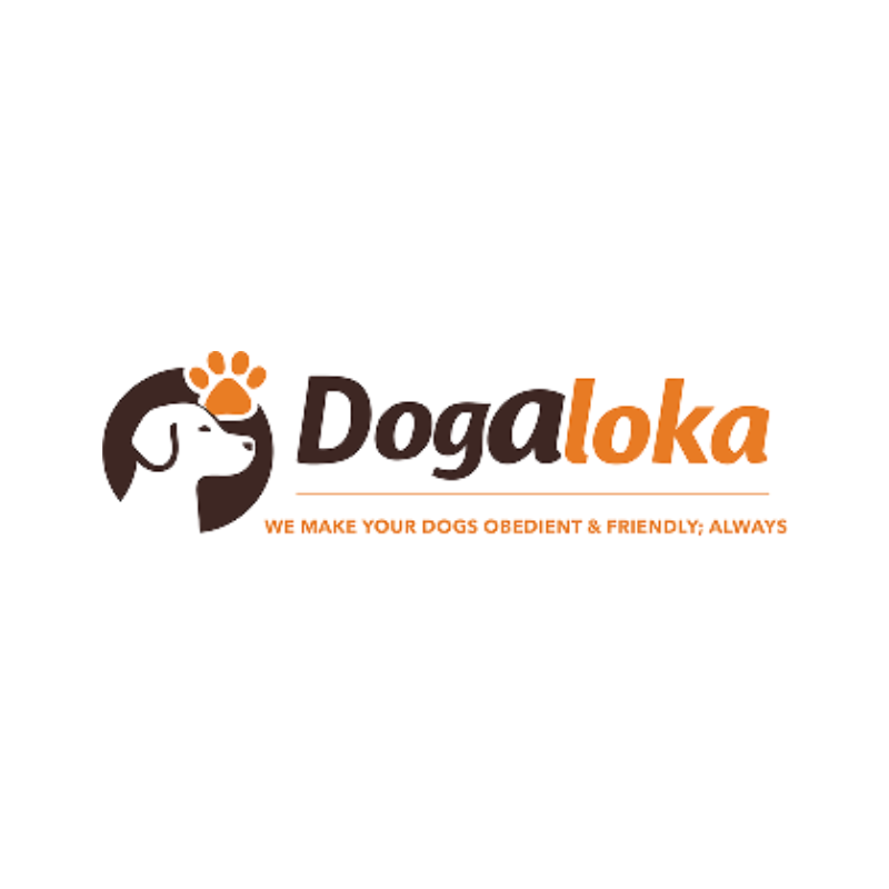 Stop dog barking