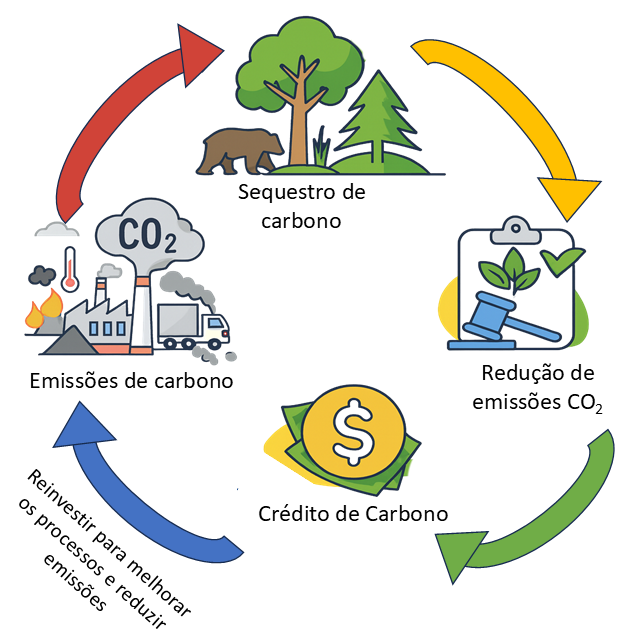 Ciclo dos Créditos de Carbono: emissões, sequestro, redução de CO₂ e reinvestimento sustentável.